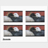 HAMbyWG – シール – 黒い羊の白い羊 (シート)