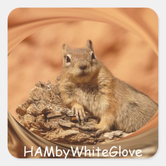 HAMbyWG – ステッカー – スワーレルロゴ入りリス (正面)
