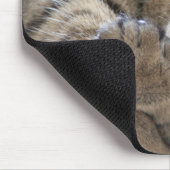 HAMbyWG – マウスパッド – かわいい子猫 (コーナー)