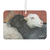 HAMbyWG – 黒と白の羊 カーエアーフレッシュナー (正面)