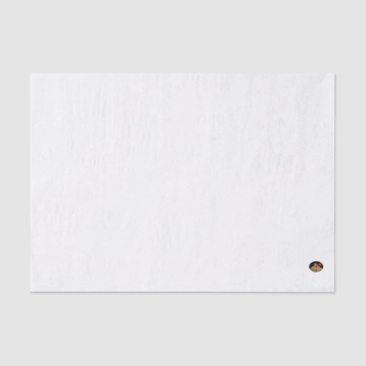 HAMbyWG - 10lbティッシュペーパー、ライトブルー 薄葉紙 (正面)