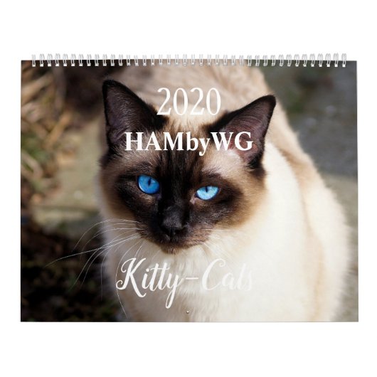 HAMbyWG 2020子猫 – 猫カレンダー カレンダー (カバー)