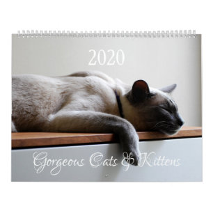 HAMbyWG - 2020 美しい猫たち カレンダー