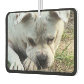 HAMbyWG - 4モダンシェードモノグラム写真 カーエアーフレッシュナー (左)