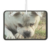 HAMbyWG - 4モダンシェードモノグラム写真 カーエアーフレッシュナー (正面)