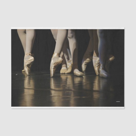 HAMbyWG - Ballerina legs - 薄葉紙 (正面)