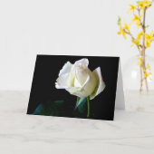 HAMbyWhiteGlove – グリーティングカード – 独身のバラ (黄色い花)