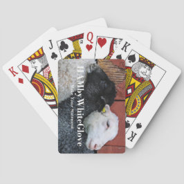 HAMbyWhiteGlove -トランプ – 白黒 トランプ