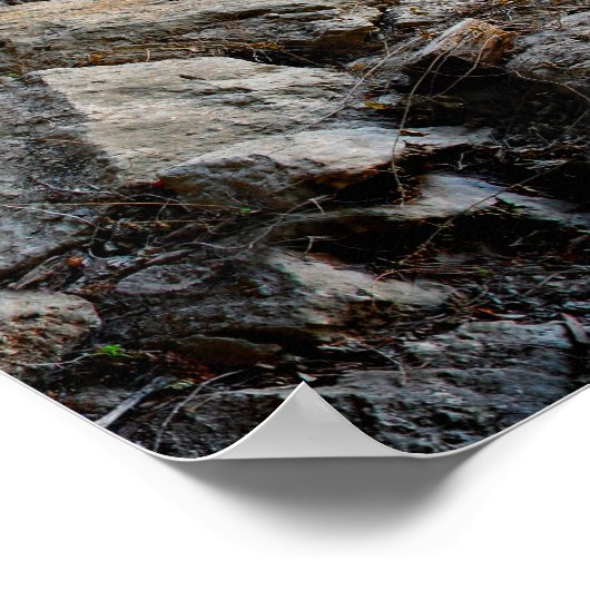 Hamilton Pool - Austin Texas ポスター (角)