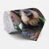 Hamishのタイ ネクタイ (ロール)