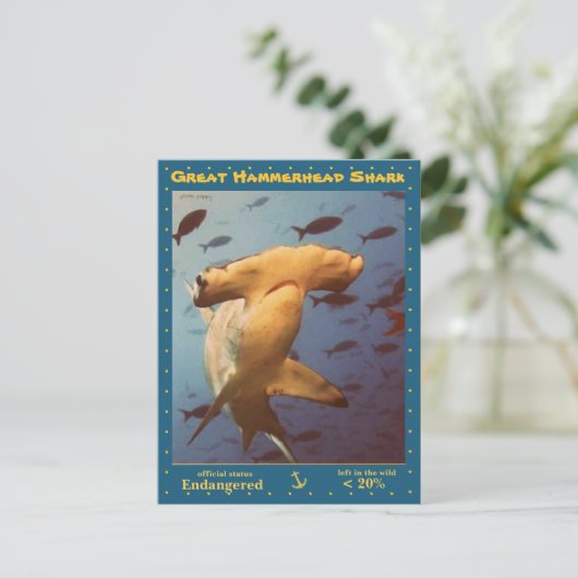 Hammerhead Shark素晴らしは絶滅危惧種である。 ポストカード (スタンド正面)