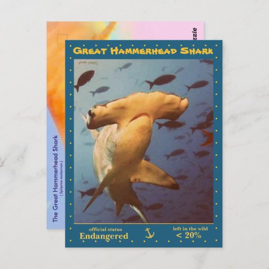 Hammerhead Shark素晴らしは絶滅危惧種である。 ポストカード (正面/裏面)