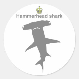 Hammerhead shark g5 ラウンドシール