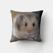 Hammieの枕 クッション (裏面)