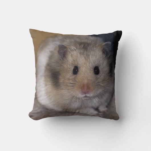 Hammieの枕 クッション (正面)
