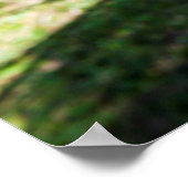 Hammock on the beach, Fiji ポスター (角)