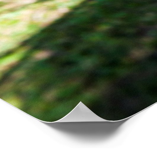 Hammock on the beach, Fiji ポスター (角)