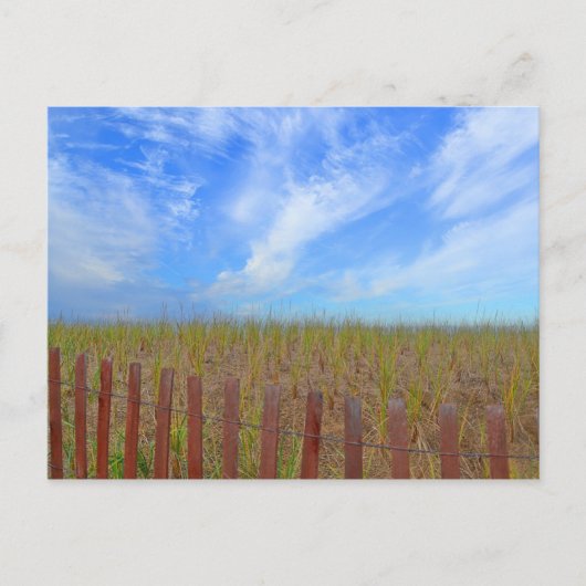 Hammonassetはがき ポストカード (正面)