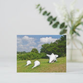 Hammonassetはがき ポストカード (スタンド正面)