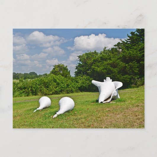 Hammonassetはがき ポストカード (正面)