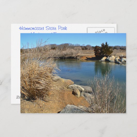 Hammonassetはがき ポストカード (正面/裏面)