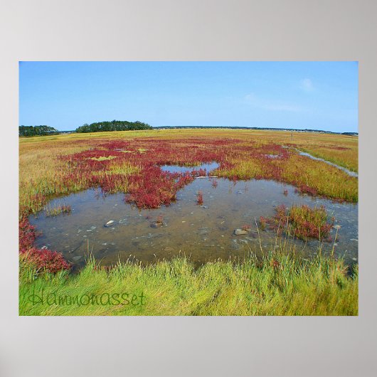 Hammonassetポスター ポスター (正面)
