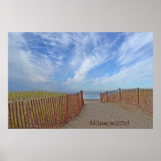 Hammonassetポスター ポスター (正面)