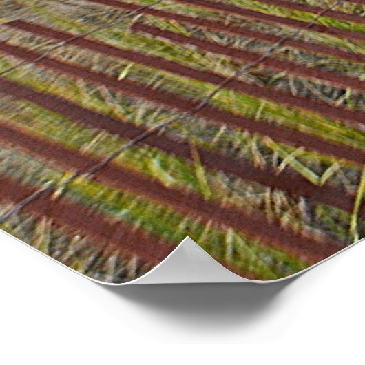 Hammonassetポスター ポスター (角)