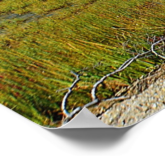 Hammonassetポスター ポスター (角)