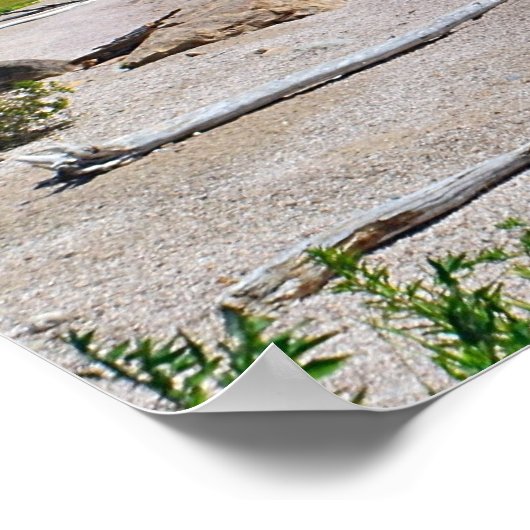 Hammonassetポスター ポスター (角)