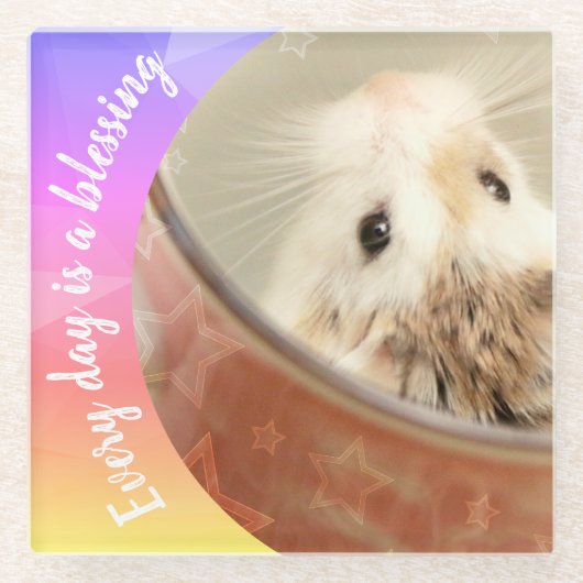 Hammyville – かわいいRobo Hamster ガラスコースター (正面)