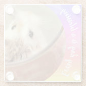 Hammyville – かわいいRobo Hamster ガラスコースター (裏面)