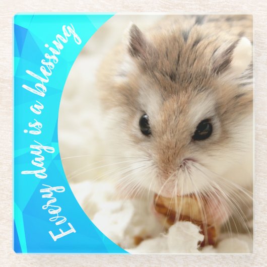 Hammyville – かわいいRobo Hamster ガラスコースター (正面)