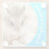 Hammyville – かわいいRobo Hamster ガラスコースター (裏面)