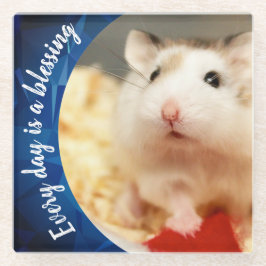 Hammyville – かわいいRobo Hamster ガラスコースター