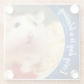 Hammyville – かわいいRobo Hamster ガラスコースター (裏面)