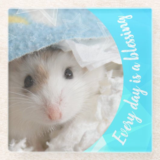 Hammyville – かわいいRobo Hamster ガラスコースター (正面)