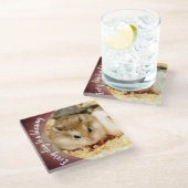 Hammyville – かわいいRobo Hamster ガラスコースター (アングル)