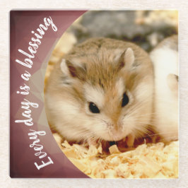 Hammyville – かわいいRobo Hamster ガラスコースター