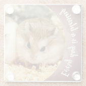 Hammyville – かわいいRobo Hamster ガラスコースター (裏面)
