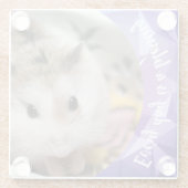 Hammyville – かわいいRobo Hamster ガラスコースター (裏面)