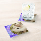 Hammyville – かわいいRobo Hamster ガラスコースター (アングル)