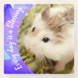 Hammyville – かわいいRobo Hamster ガラスコースター