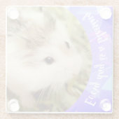 Hammyville – かわいいRobo Hamster ガラスコースター (裏面)