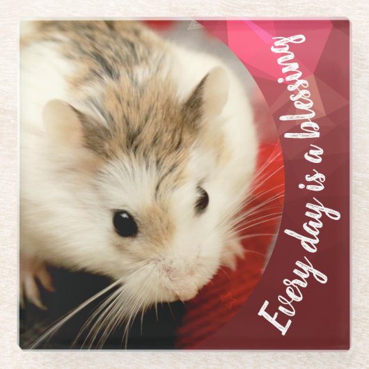 Hammyville – かわいいRobo Hamster ガラスコースター (正面)