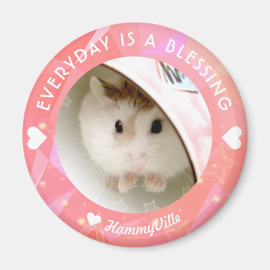 Hammyville – かわいいRobo Hamster マグネット (正面)