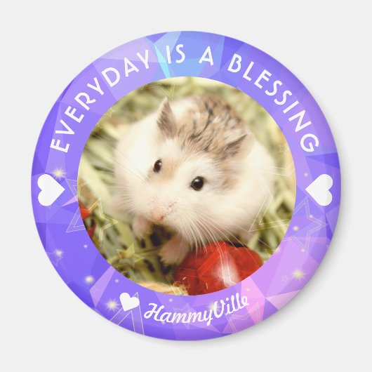 Hammyville – かわいいRobo Hamster マグネット (正面)