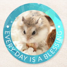 Hammyville – かわいいRobo Hamster