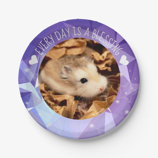 Hammyville – カワイロボハムスター賛美ズ ペーパープレート (正面)