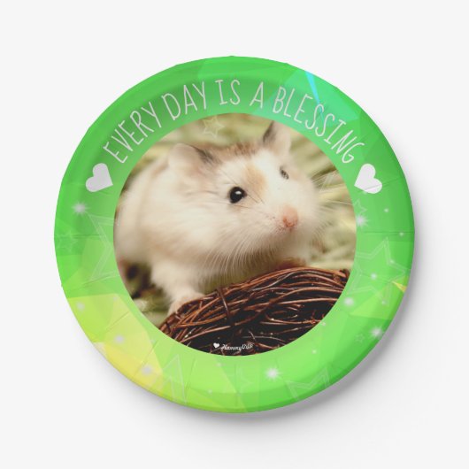 Hammyville – カワイロボハムスター賛美ズ ペーパープレート (正面)
